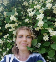Светлана, 54 лет, Женщина, Владимир, Россия